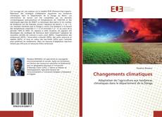 Bookcover of Changements climatiques