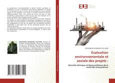 Bookcover of Evaluation environnementale et sociale des projets :