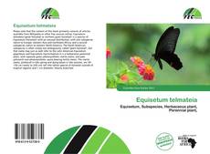 Borítókép a  Equisetum telmateia - hoz