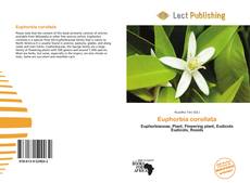 Bookcover of Euphorbia corollata