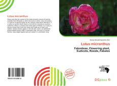 Copertina di Lotus micranthus