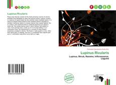 Copertina di Lupinus Rivularis