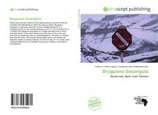 Обложка Bruguiera Sexangula