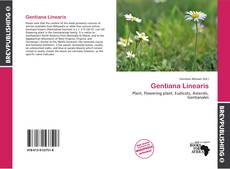 Gentiana Linearis kitap kapağı