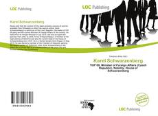 Karel Schwarzenberg kitap kapağı