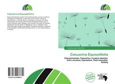 Casuarina Equisetifolia的封面