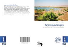 Couverture de Juncus Acuminatus