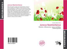 Buchcover von Juncus Saximontanus