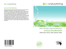 Обложка Juncus Occidentalis