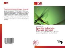 Copertina di Fonction Indicatrice (Analyse Convexe)