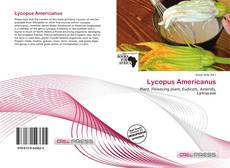 Capa do livro de Lycopus Americanus 