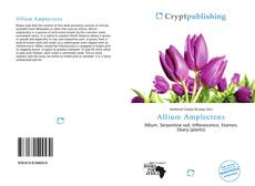 Bookcover of Allium Amplectens