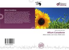 Couverture de Allium Canadense