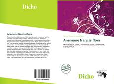 Anemone Narcissiflora的封面