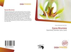 Bookcover of Cycas Brunnea