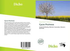 Cycas Pruinosa kitap kapağı