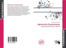 Agrimonia Gryposepala kitap kapağı