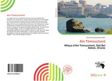 Portada del libro de Aïn Témouchent