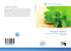 Bookcover of Diospyros Humilis