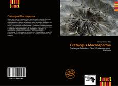 Bookcover of Crataegus Macrosperma