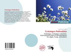 Portada del libro de Crataegus Pedicellata