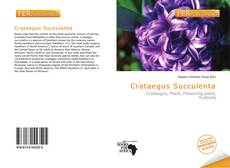 Buchcover von Crataegus Succulenta