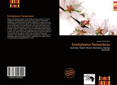 Bookcover of Enchylaena Tomentosa