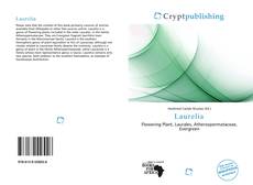 Bookcover of Laurelia