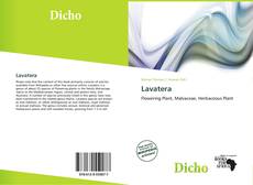 Copertina di Lavatera