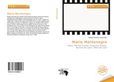 Bookcover of Mario Montenegro