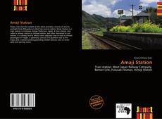 Bookcover of Amaji Station