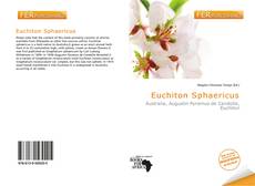 Bookcover of Euchiton Sphaericus