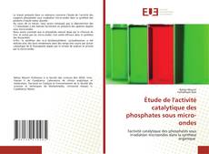 Étude de l'activité catalytique des phosphates sous micro-ondes的封面