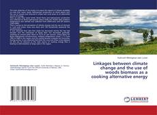 Copertina di Linkages between climate change and the use of woods biomass as a cooking alternative energy