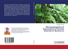 Buchcover von Micropropagation & Assessement of Genetic Diversity In Banana Cv
