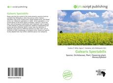 Galearis Spectabilis kitap kapağı