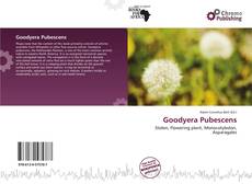 Goodyera Pubescens的封面