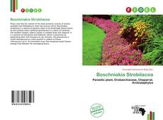 Boschniakia Strobilacea的封面