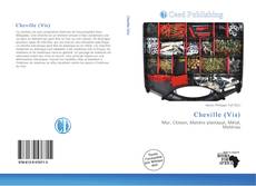 Bookcover of Cheville (Vis)