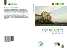 Boissy-sous-Saint-Yon的封面