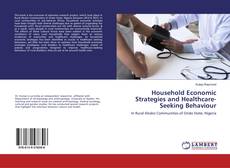 Household Economic Strategies and Healthcare-Seeking Behaviour kitap kapağı
