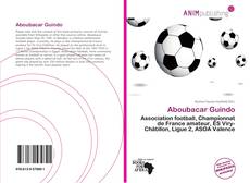 Capa do livro de Aboubacar Guindo 