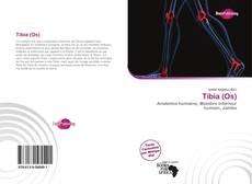 Bookcover of Tibia (Os)