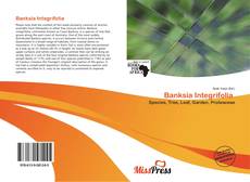 Bookcover of Banksia Integrifolia 