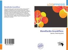 Copertina di Blandfordia Grandiflora 