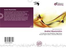 Buchcover von Andrei Maximishin