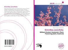 Couverture de Grevillea Juncifolia 