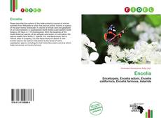 Buchcover von Encelia