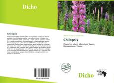 Portada del libro de Chilopsis