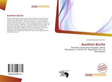 Couverture de Aurélien Boche